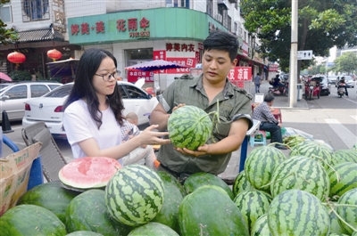 市民在中山南路便民服务点摊位前挑选西瓜.首席记者 李亚云  摄